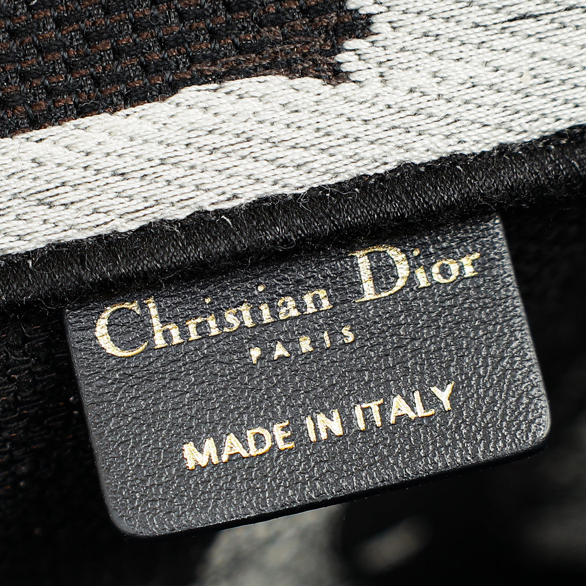 Christian Dior Paris w/ Eiffel Tower Embroidered Book Medium Tote Bag