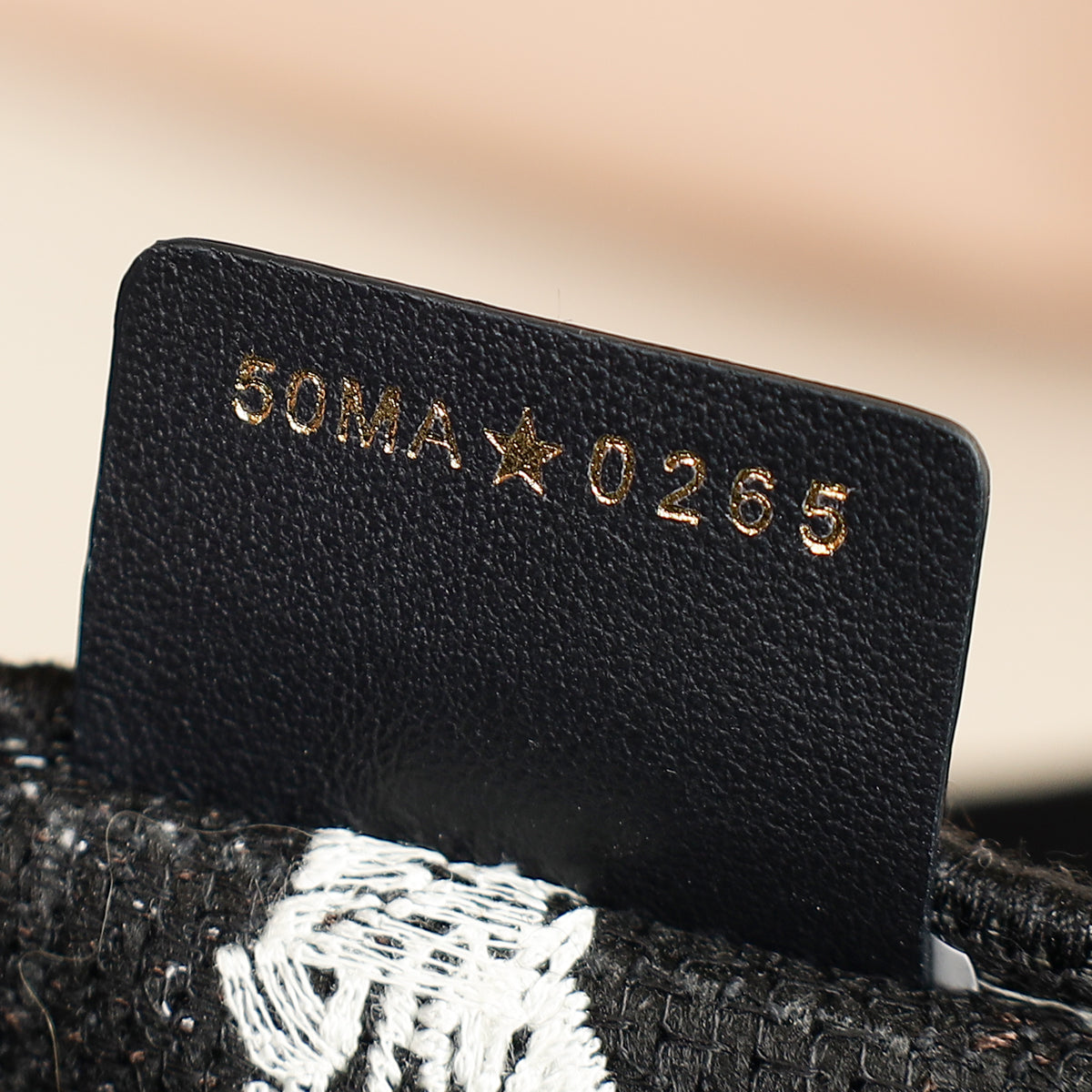 Christian Dior Paris w/ Eiffel Tower Embroidered Book Medium Tote Bag