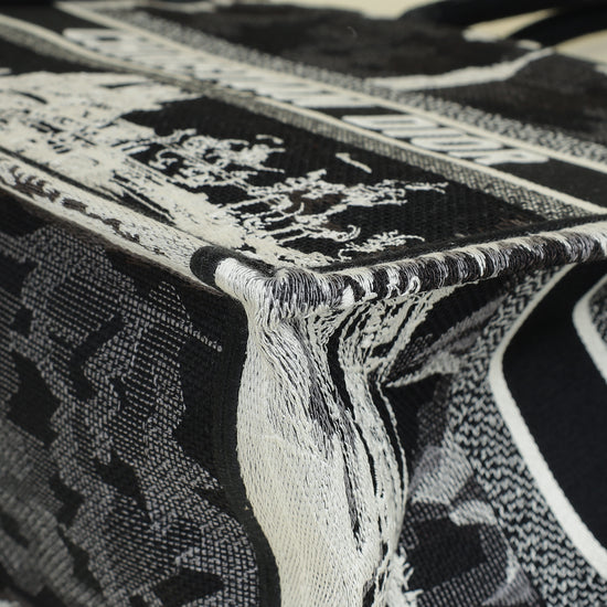 Christian Dior Paris w/ Eiffel Tower Embroidered Book Medium Tote Bag