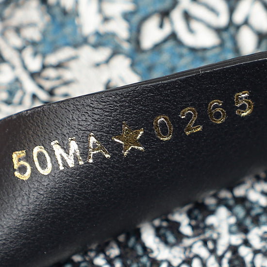 Christian Dior Tricolor "Around the World" Embroidered Book Medium Tote Bag