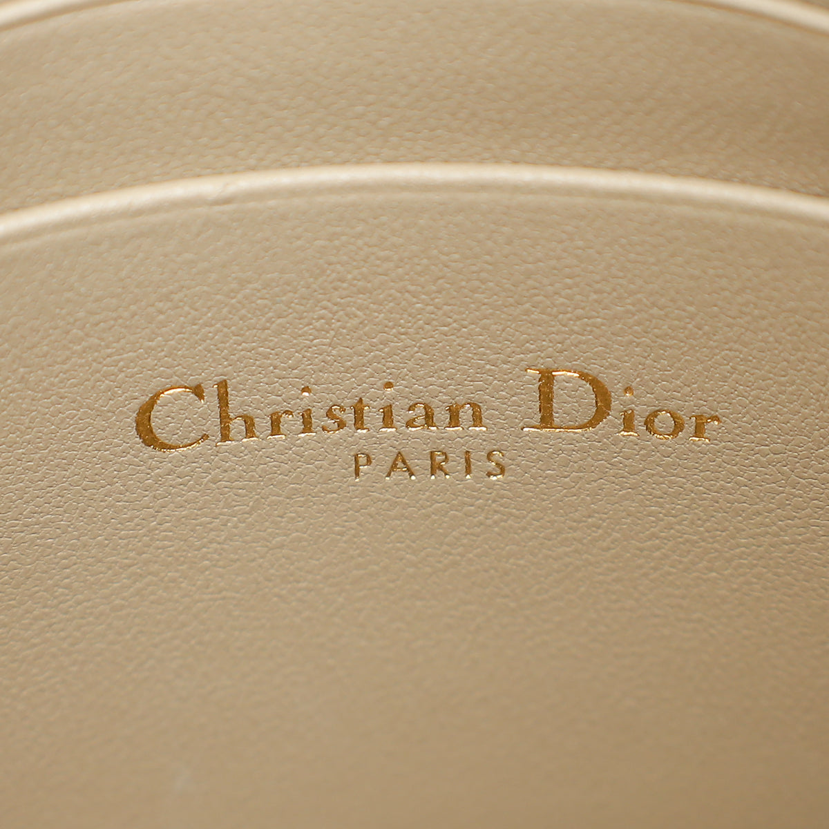 Christian Dior Sand Supple Caro Every Dior Pouch
