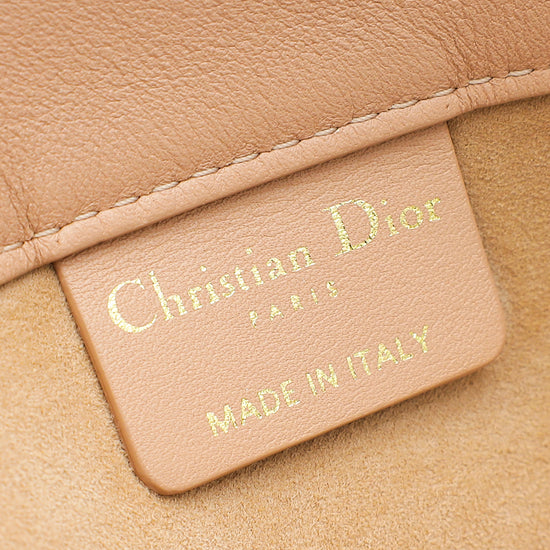 Christian Dior Blush Book Tote Calfskin Embossed Medium Bag