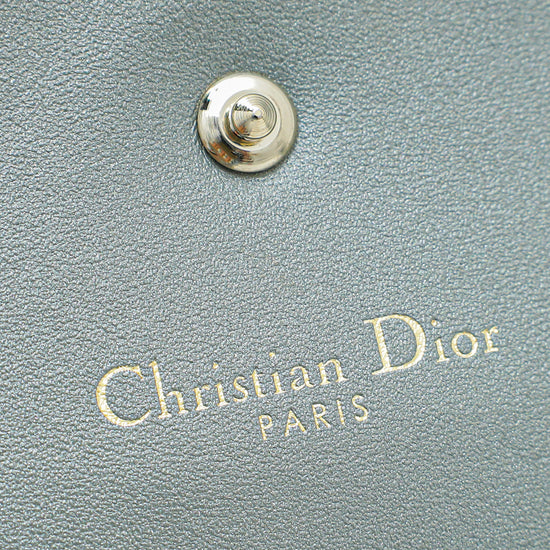 Christian Dior Metallic Grey Diorama Wallet On Chain