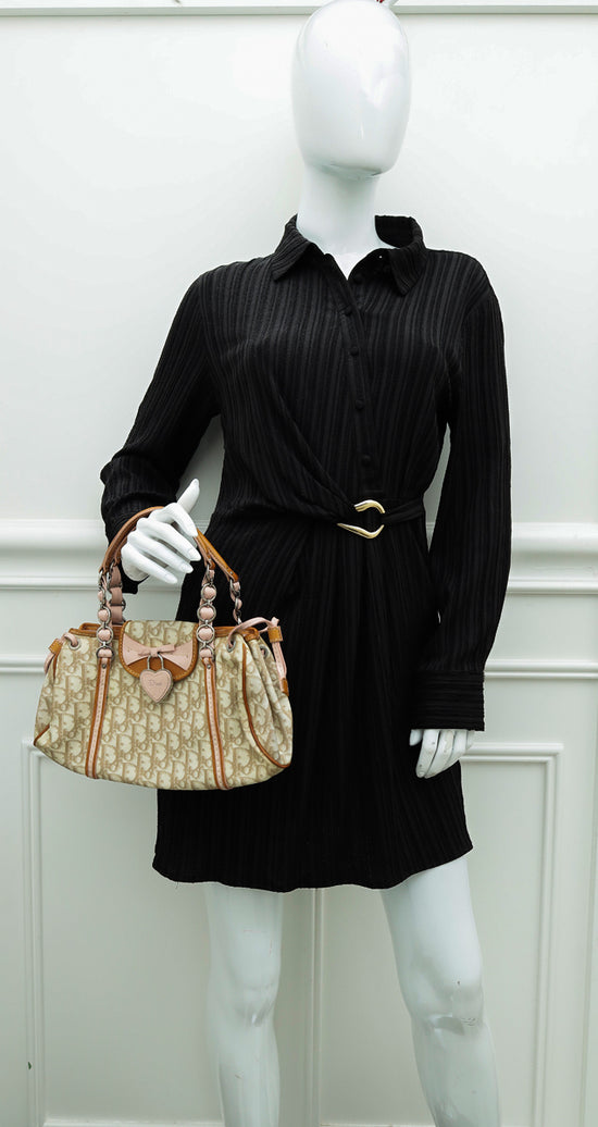 Christian Dior Tricolor Romantique Trotter Bag