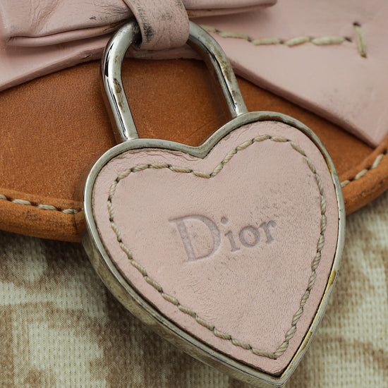 Christian Dior Tricolor Romantique Trotter Bag