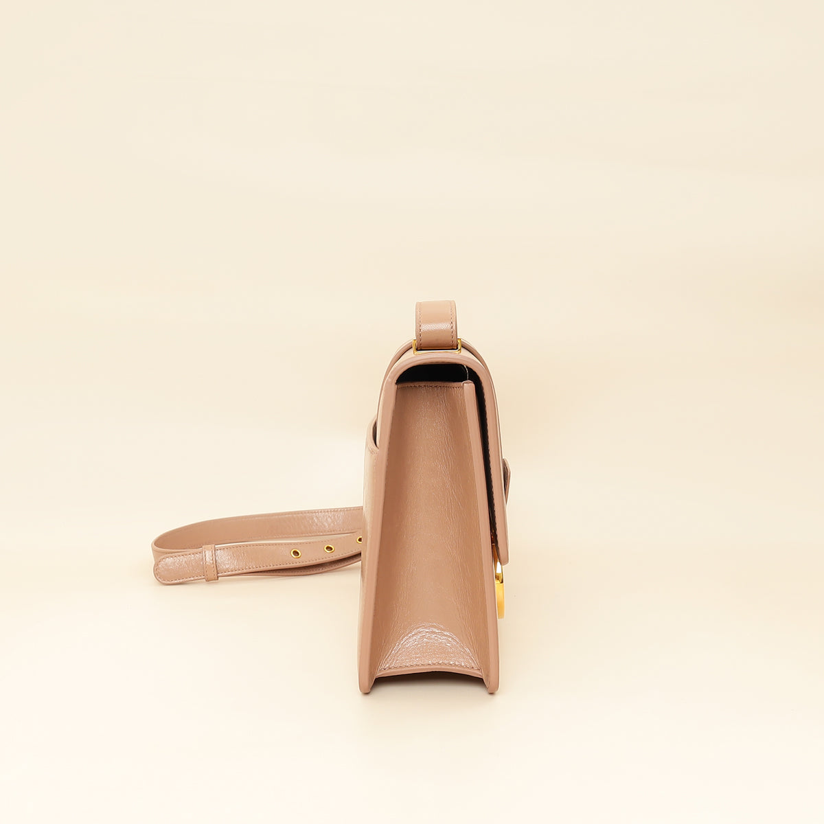 Christian Dior Fard 30 Montaigne Flap Bag-Christian Dior-THE CLOSET