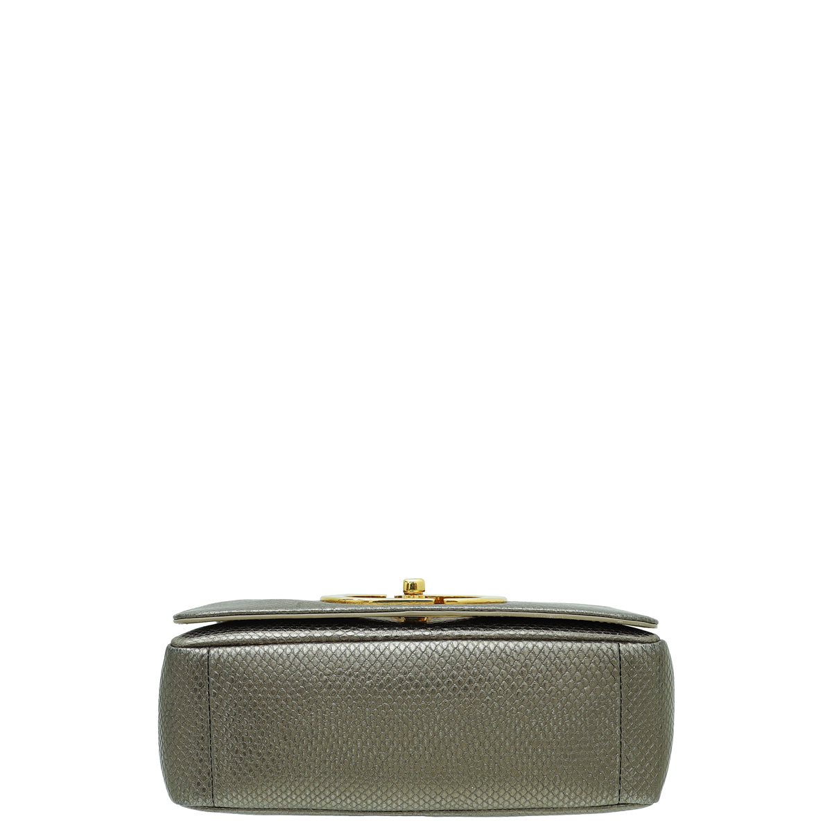 Christian Dior Metallic Olive Green Karung Small Caro Bag