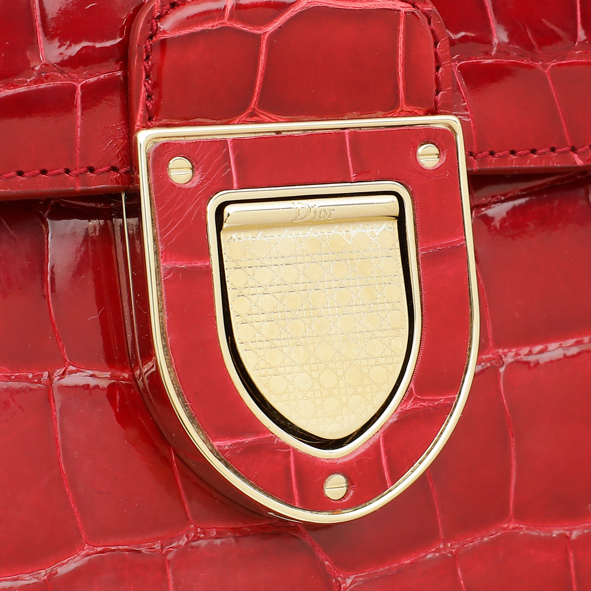 Christian Dior Cherry Red Alligator Diorever Mini Bag