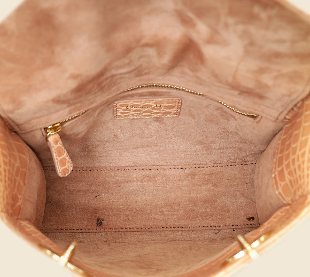 Christian Dior Blush Nude Alligator w/ Crystal Lady Dior Small Bag-Christian Dior-THE CLOSET