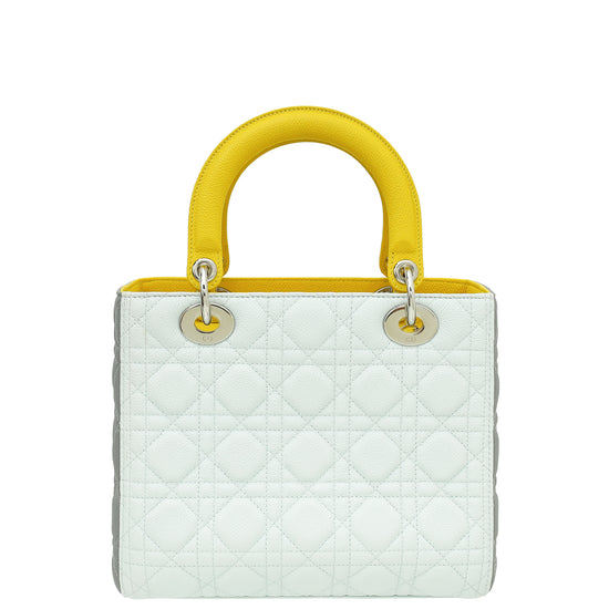 Christian Dior Tricolor Lady Dior Medium Bag