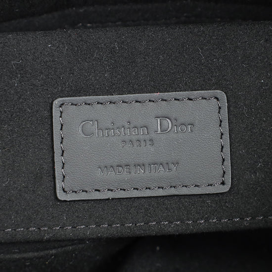 Christian Dior Ultramatte Cannage Lady D-Joy Small Bag