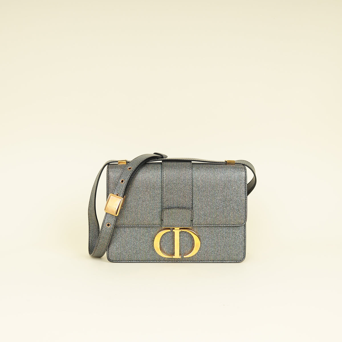 Christian Dior Grey Multicolor 30 Montaigne Flap Bag