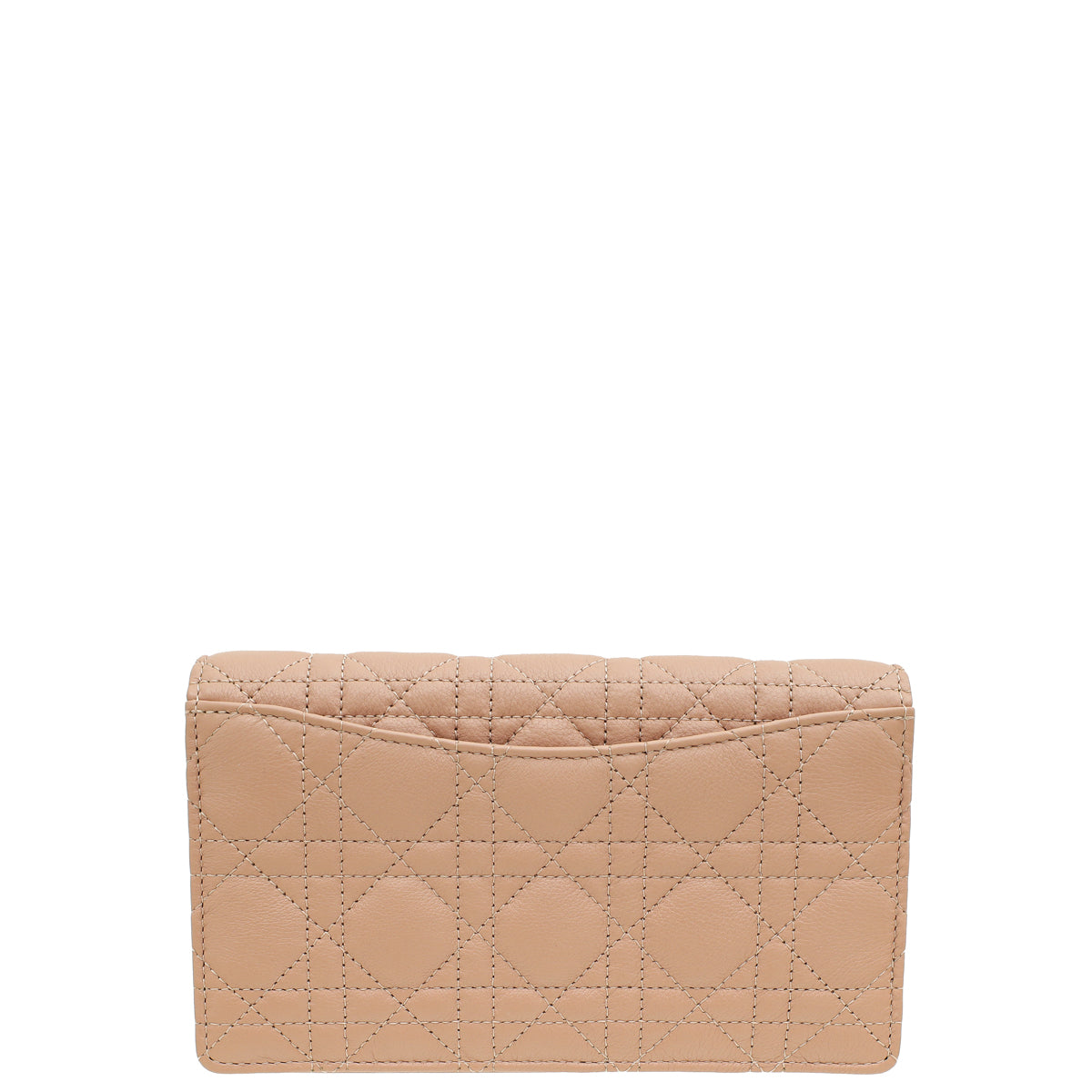 Christian Dior Rose des Vents Caro Pouch with Chain-Christian Dior-THE CLOSET