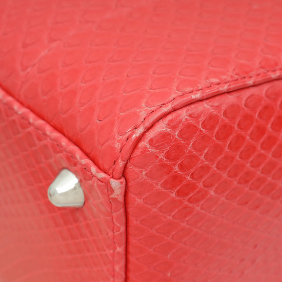 Christian Dior Red Snakeskin Lady Dior Large Bag-Christian Dior-THE CLOSET