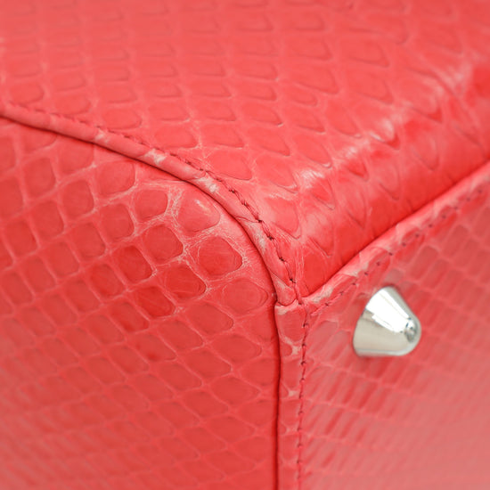 Christian Dior Red Snakeskin Lady Dior Large Bag-Christian Dior-THE CLOSET