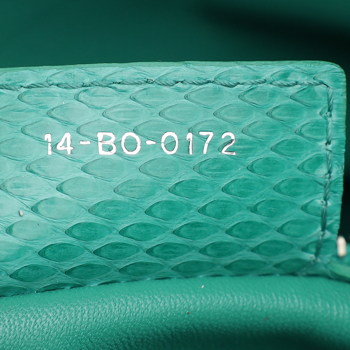 Christian Dior Green Snakeskin Lady Dior Large Bag-Christian Dior-THE CLOSET