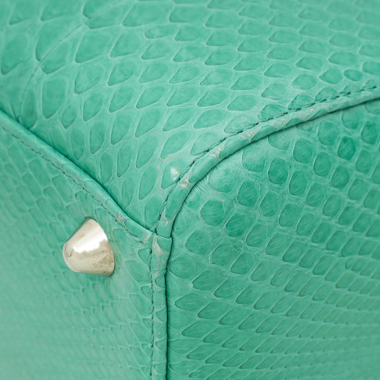 Christian Dior Green Snakeskin Lady Dior Large Bag-Christian Dior-THE CLOSET