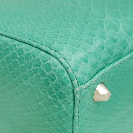 Christian Dior Green Snakeskin Lady Dior Large Bag-Christian Dior-THE CLOSET