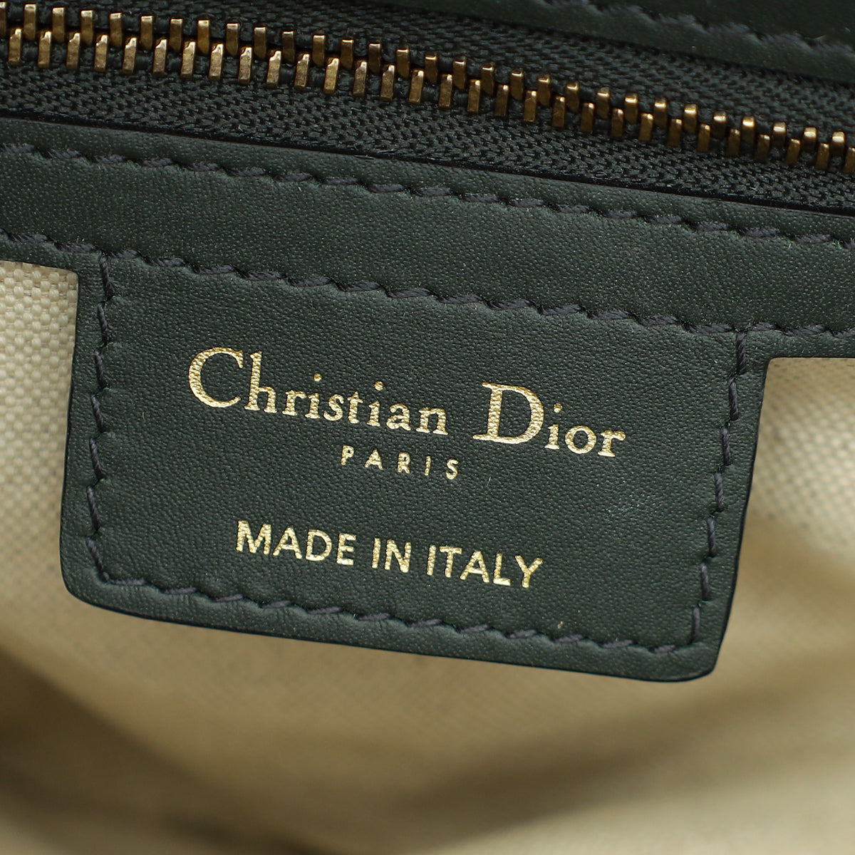 Christian Dior Green Oblique Saddle Medium Bag-Christian Dior-THE CLOSET