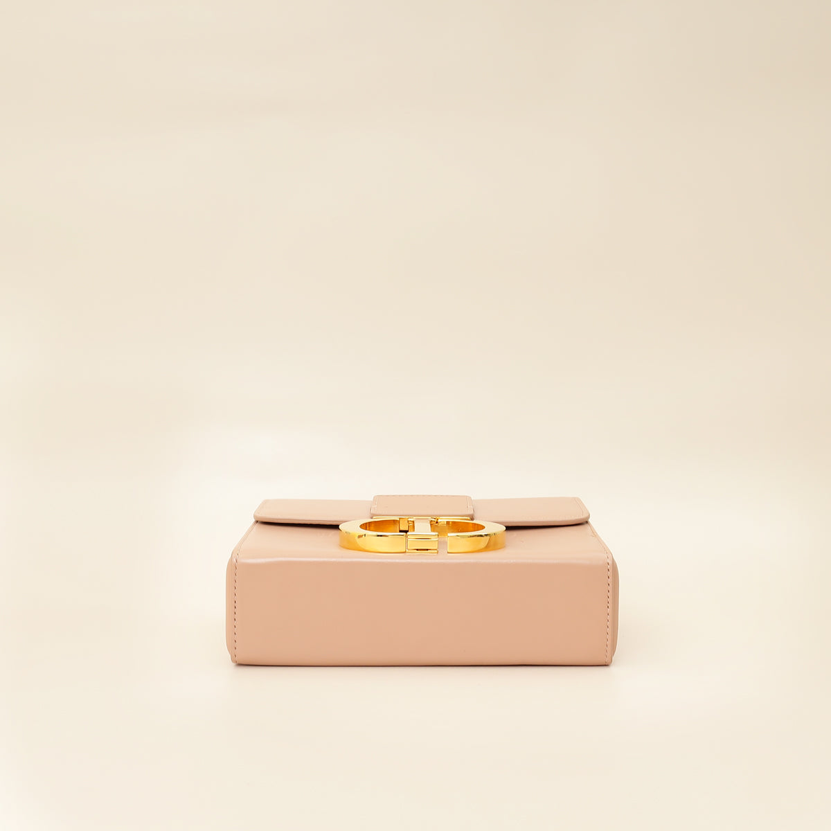 Christian Dior Nude 30 Montaigne Box Bag-Christian Dior-THE CLOSET