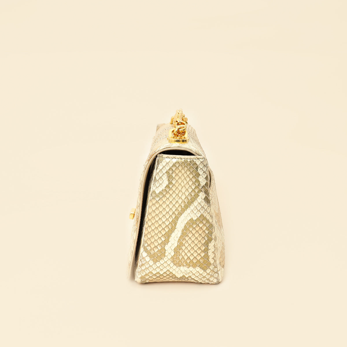 Christian Dior Metallic Golden Beige Python Caro Flap Medium Shoulder Bag-Christian Dior-THE CLOSET