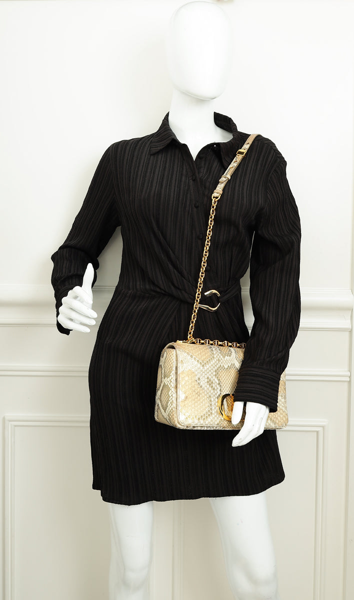 Christian Dior Metallic Golden Beige Python Caro Flap Medium Shoulder Bag-Christian Dior-THE CLOSET