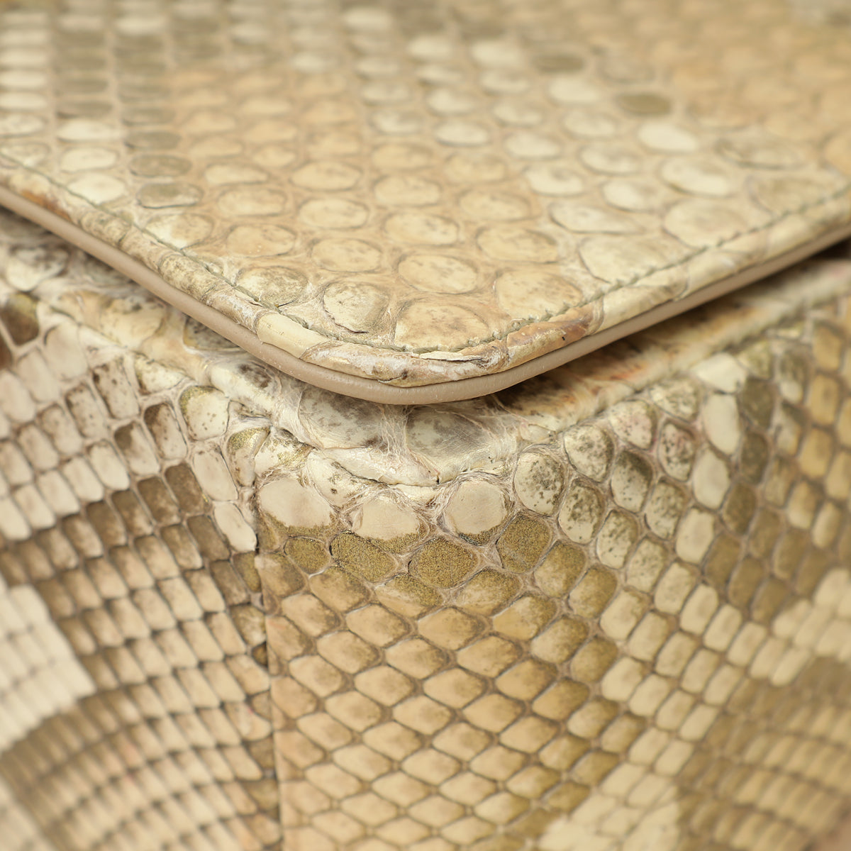 Christian Dior Metallic Golden Beige Python Caro Flap Medium Shoulder Bag-Christian Dior-THE CLOSET