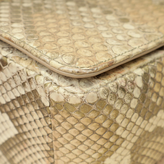 Christian Dior Metallic Golden Beige Python Caro Flap Medium Shoulder Bag-Christian Dior-THE CLOSET