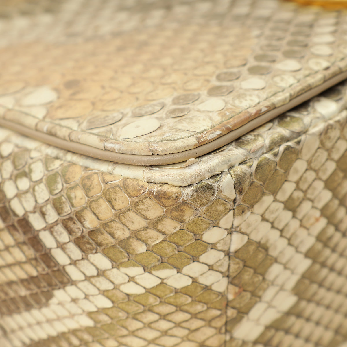 Christian Dior Metallic Golden Beige Python Caro Flap Medium Shoulder Bag-Christian Dior-THE CLOSET