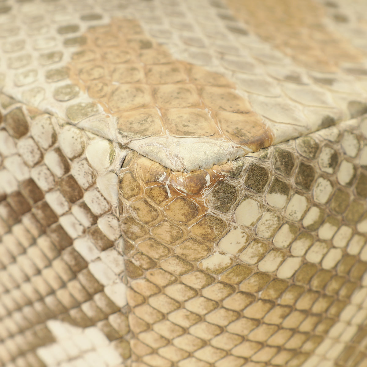 Christian Dior Metallic Golden Beige Python Caro Flap Medium Shoulder Bag-Christian Dior-THE CLOSET