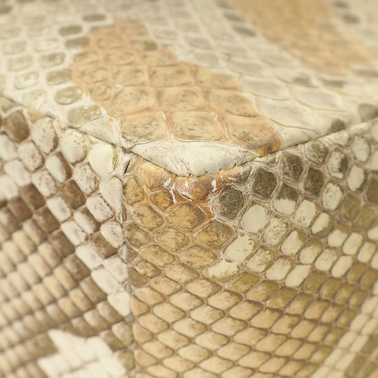 Christian Dior Metallic Golden Beige Python Caro Flap Medium Shoulder Bag-Christian Dior-THE CLOSET