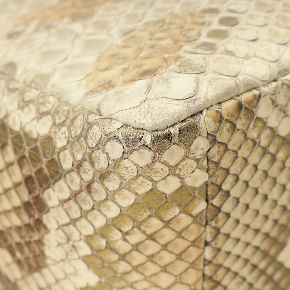 Christian Dior Metallic Golden Beige Python Caro Flap Medium Shoulder Bag-Christian Dior-THE CLOSET