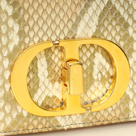 Christian Dior Metallic Golden Beige Python Caro Flap Medium Shoulder Bag-Christian Dior-THE CLOSET