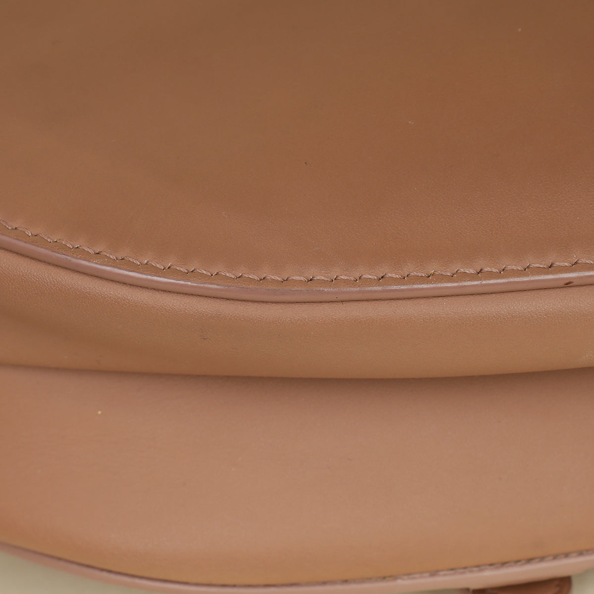 Christian Dior Rose Des Vents Ultramatte Saddle Medium Bag-Christian Dior-THE CLOSET