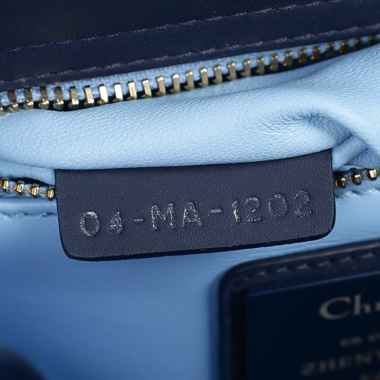 Christian Dior Tricolor L.E Zhenya Machneva’s Lady Art 7 Small Bag