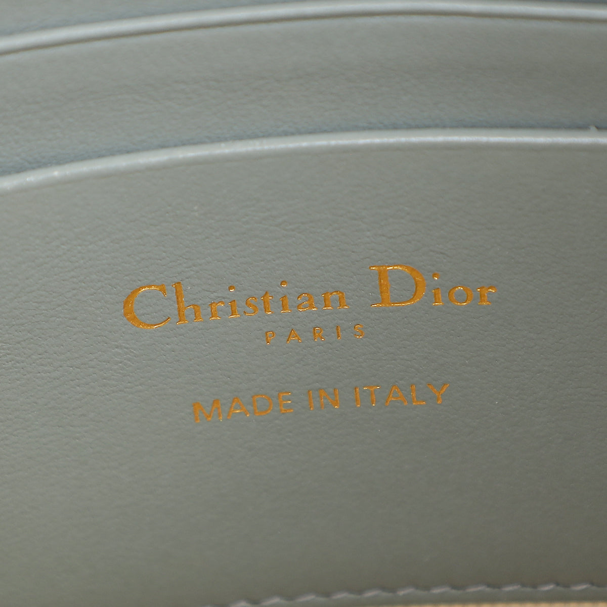 Christian Dior Gray 30 Montaigne Dea Pouch
