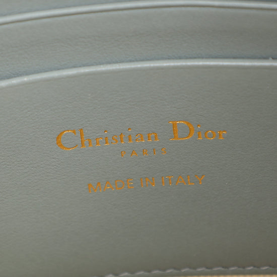 Christian Dior Gray 30 Montaigne Dea Pouch
