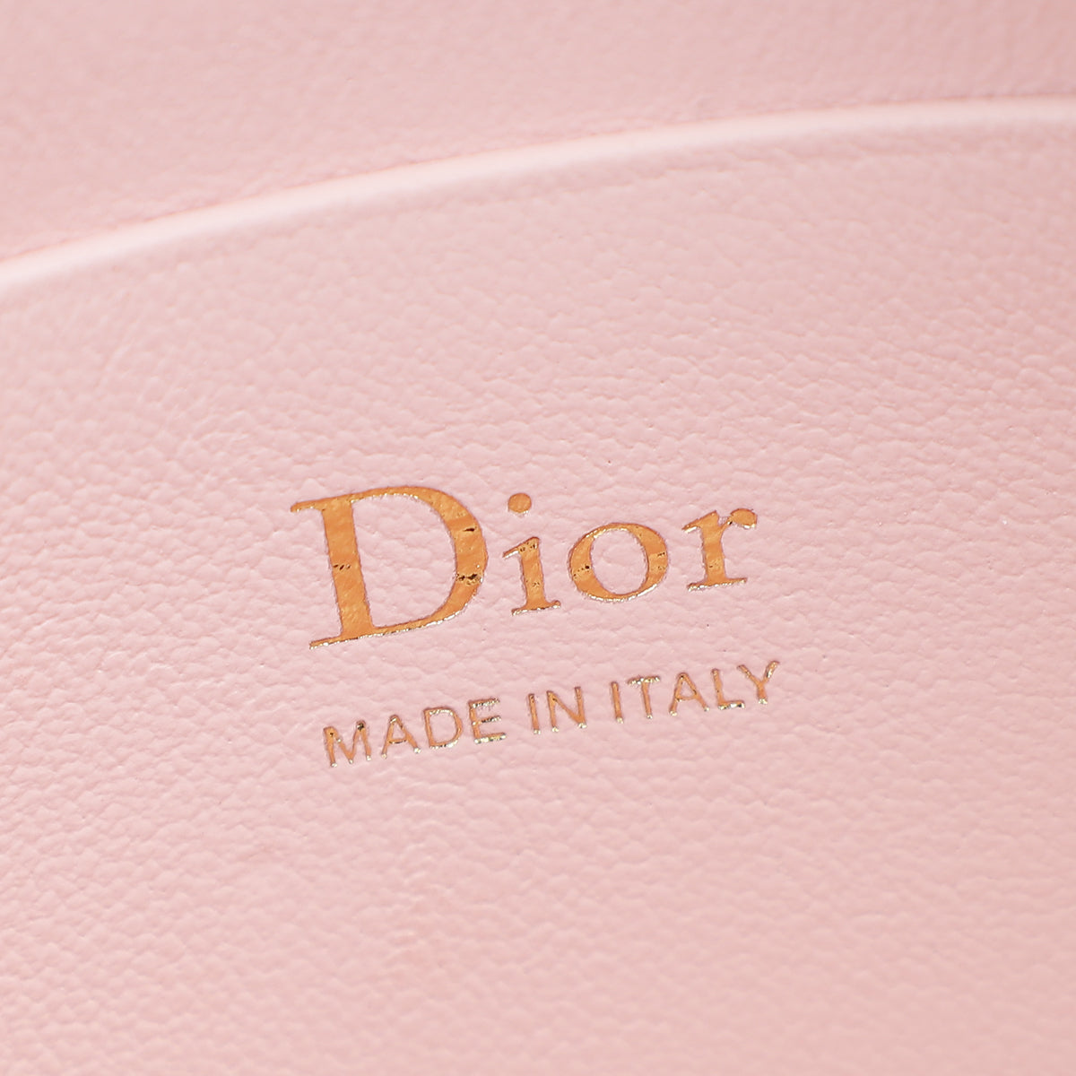 Christian Dior Soupr Pink My Dior Mini Bag – THE CLOSET