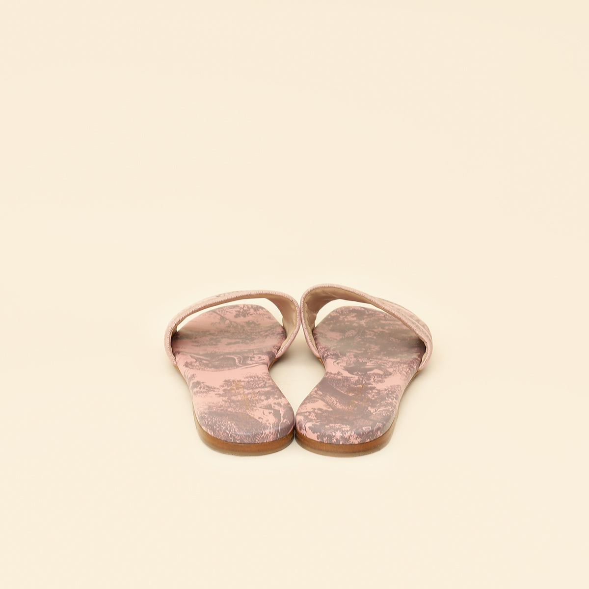 Christian Dior Light Pink Toile De Jouy Motif Dway Slide Mules 39.5-Christian Dior-THE CLOSET