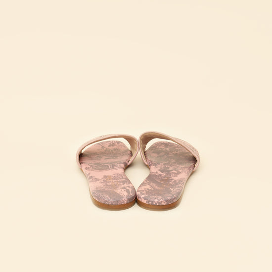 Christian Dior Light Pink Toile De Jouy Motif Dway Slide Mules 39.5-Christian Dior-THE CLOSET