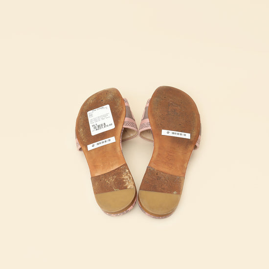 Christian Dior Light Pink Toile De Jouy Motif Dway Slide Mules 39.5-Christian Dior-THE CLOSET