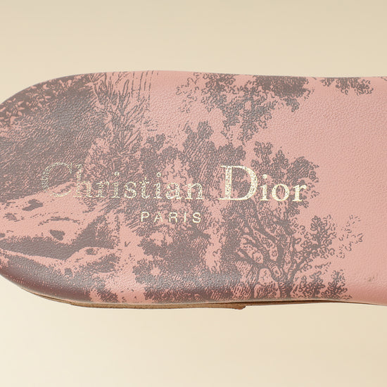 Christian Dior Light Pink Toile De Jouy Motif Dway Slide Mules 39.5-Christian Dior-THE CLOSET