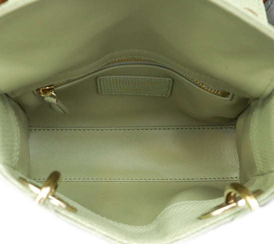 Christian Dior Pistachio Lizard Lady Dior Mini Bag