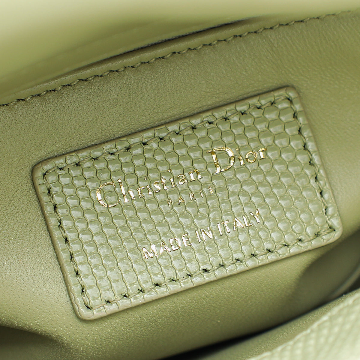 Christian Dior Pistachio Lizard Lady Dior Mini Bag – THE CLOSET