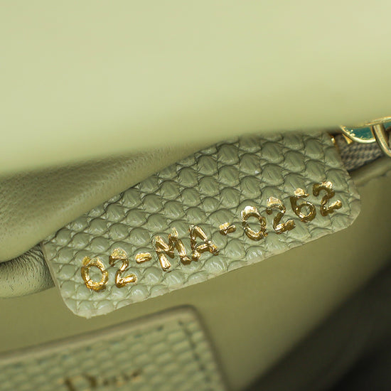 Christian Dior Pistachio Lizard Lady Dior Mini Bag