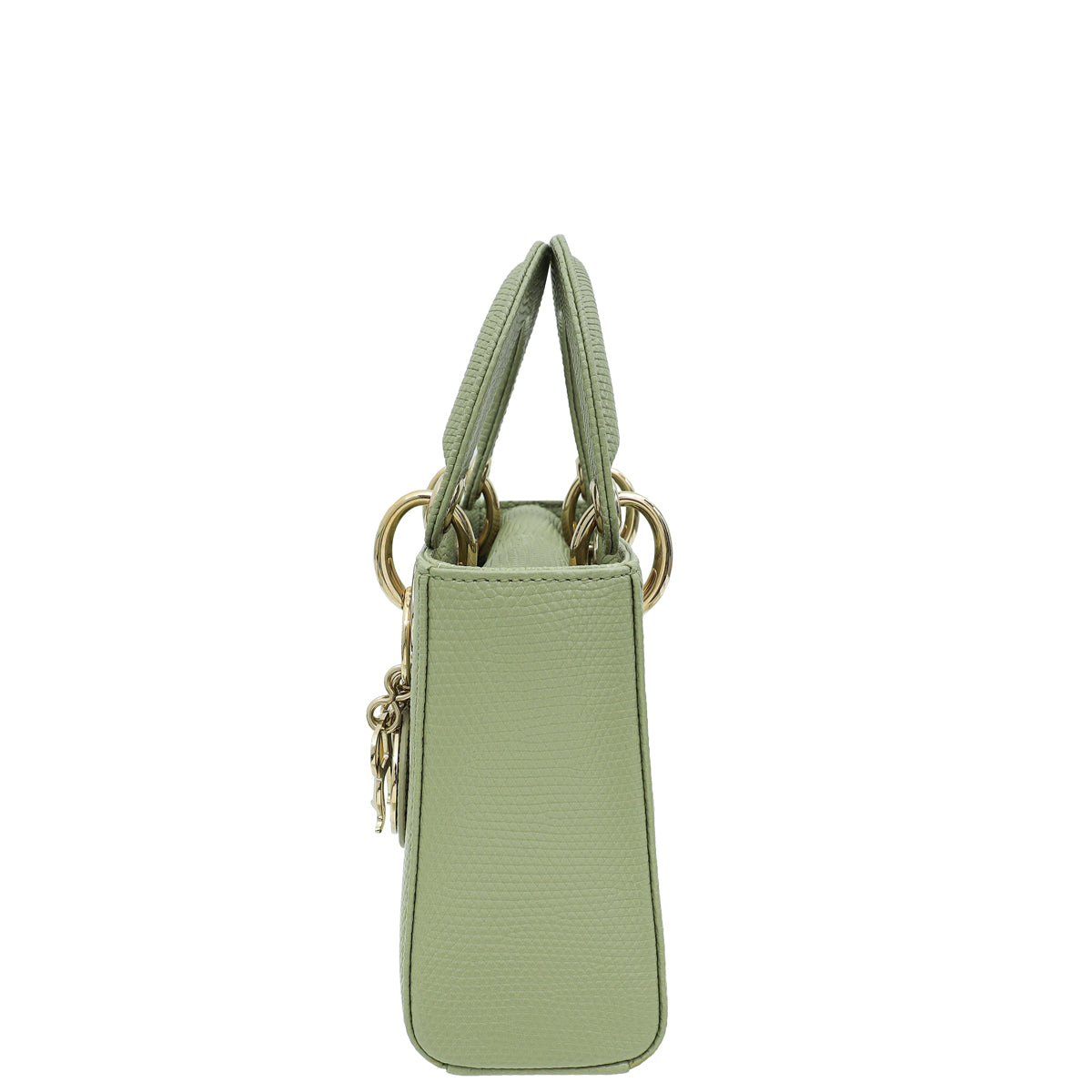 Christian Dior Pistachio Lizard Lady Dior Mini Bag – THE CLOSET