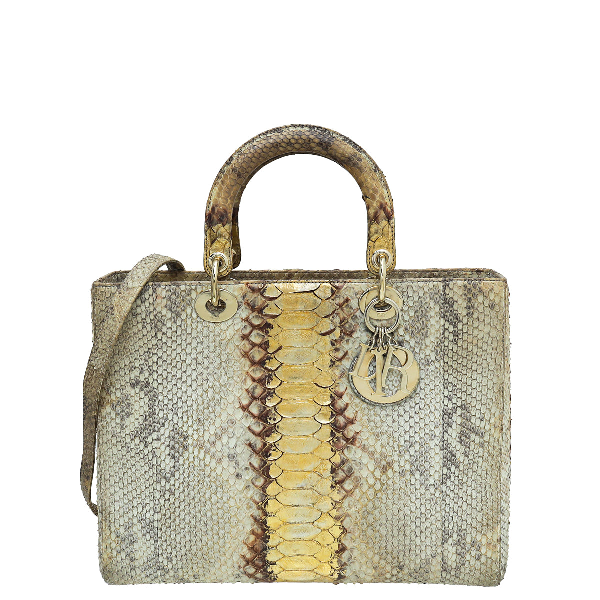 Christian Dior Bicolor Python Ombre Lady Dior Large Bag-Christian Dior-THE CLOSET