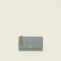 Christian Dior Grey Caro Belt Pouch