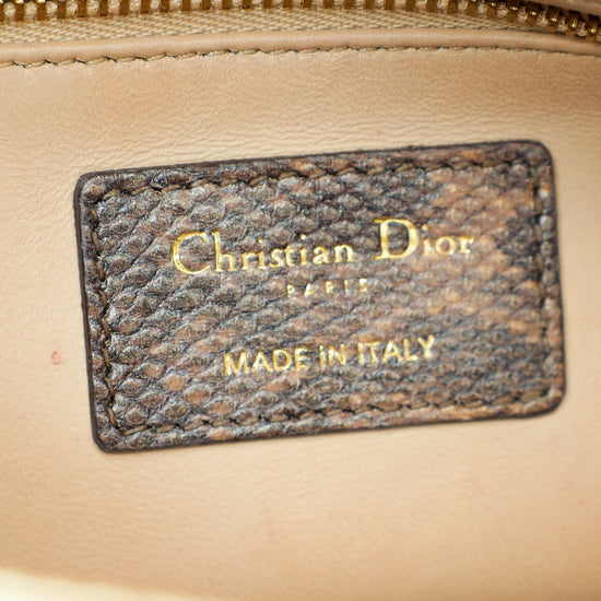 Christian Dior Metallic Bicolor Lizard Lady Dior Small Bag