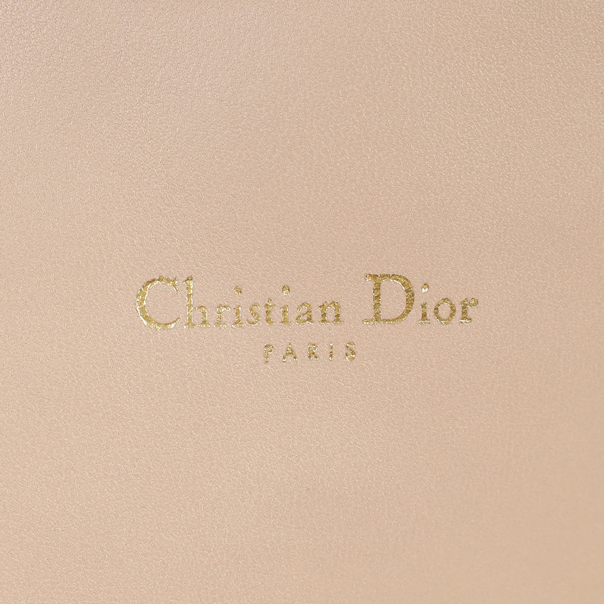 Christian Dior Nude Miss Dior Promenade Pouch Clutch